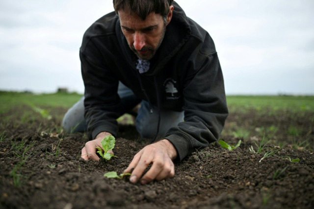 UK farmers pray for rain amid driest spring since 1852