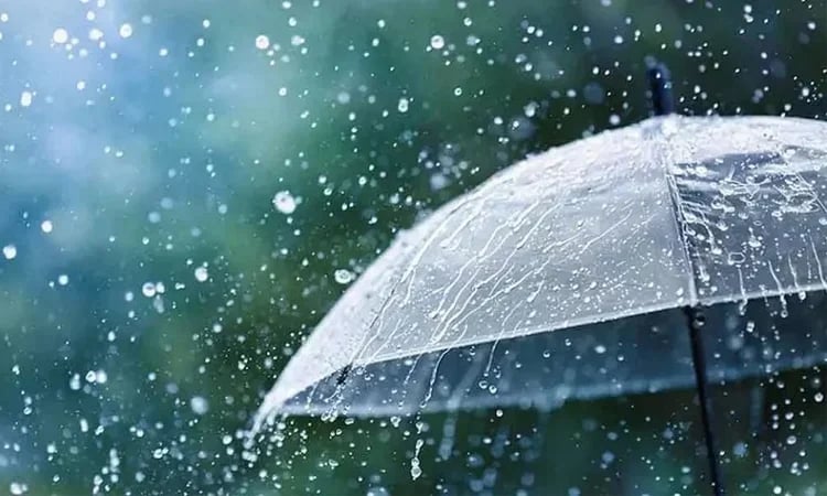 Light to moderate rain likely over four divisions