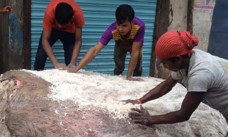 চট্টগ্রামে ৭ লক্ষ ৭৪ হাজার চামড়া সংরক্ষণ করা হয়েছে